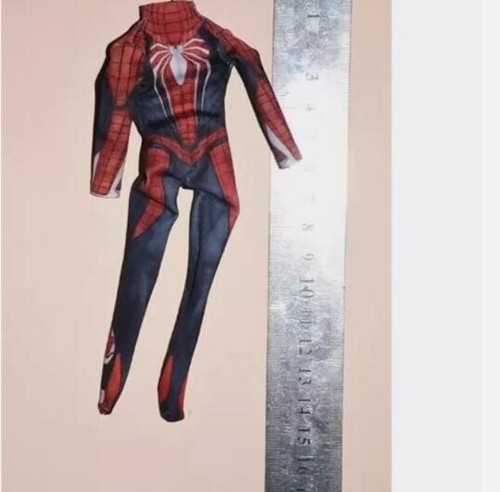 Male soldier spider - soldier,