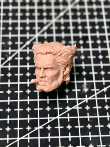 Head model wolverine - head,